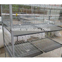 advanced automatic poultry equipment for broiler chicken farm